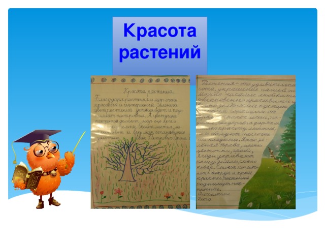 Рассказ о красоте растений родного края