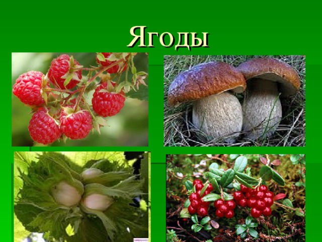  Ягоды 