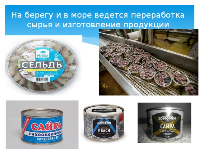 На берегу и в море ведется переработка сырья и изготовление продукции 