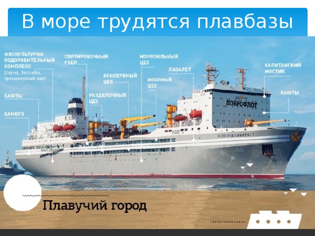 В море трудятся плавбазы 