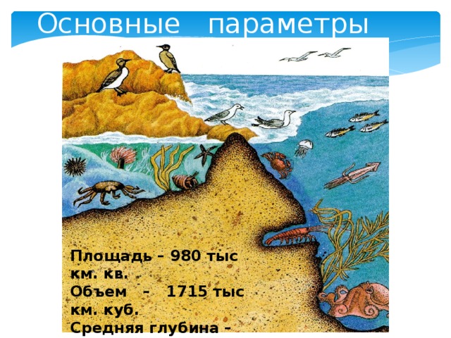 Основные параметры Площадь – 980 тыс км. кв. Объем – 1715 тыс км. куб. Средняя глубина – 1750 м Максимальная – 4224м. 