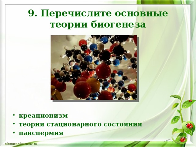 9. Перечислите основные теории биогенеза креационизм теория стационарного состояния панспермия 