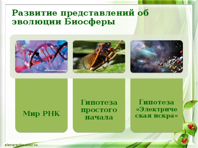   Мир РНК  Гипотеза простого начала  Гипотеза «Электрическая искра» Развитие представлений об эволюции Биосферы 