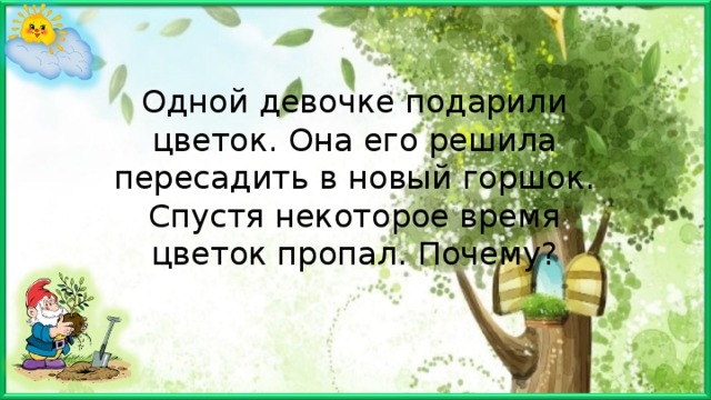 Одной девочке подарили цветок. Она его решила пересадить в новый горшок. Спустя некоторое время цветок пропал. Почему? 
