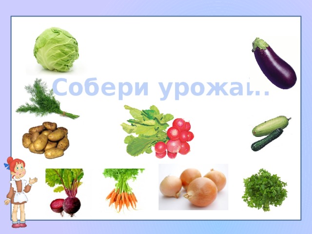 Собери урожай!