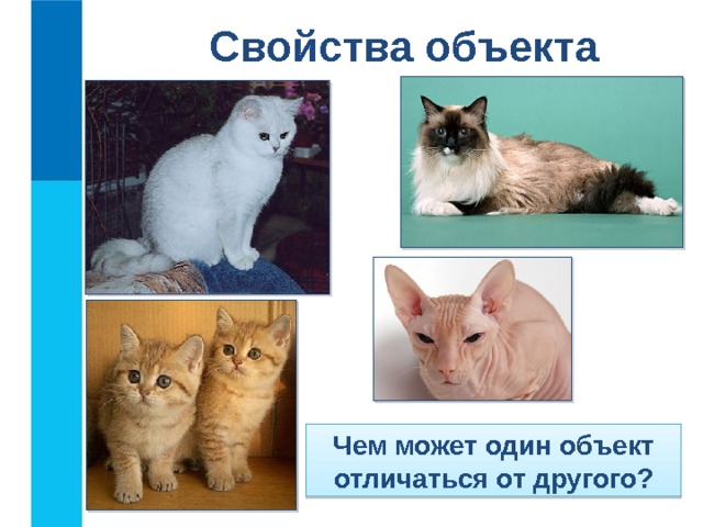 Свойства объекта Чем может один объект отличаться от другого? 20 