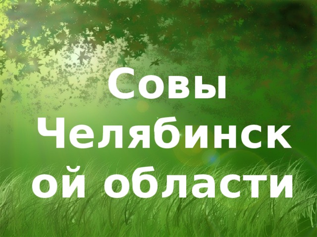 Совы Челябинской области