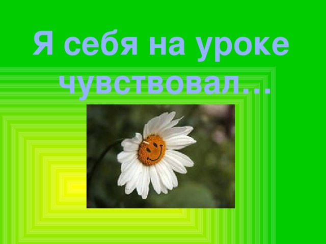 Я себя на уроке чувствовал… 