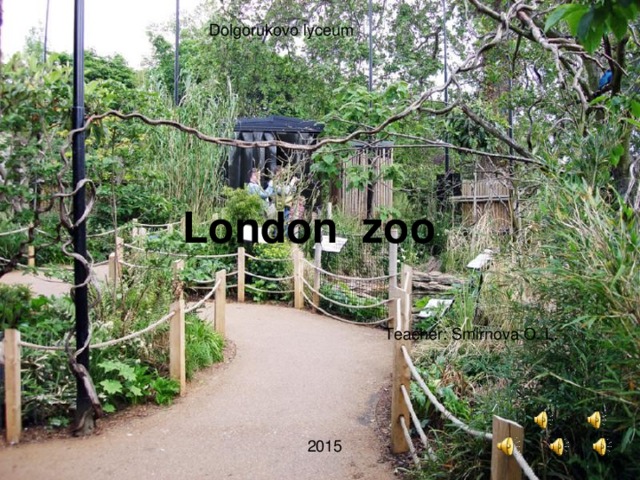 Dolgorukovo lyceum  London zoo  Teacher: Smirnova O. L.  2015 