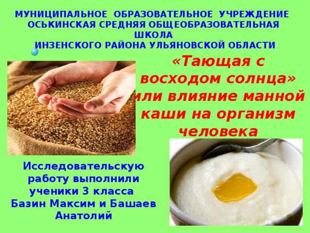 МУНИЦИПАЛЬНОЕ ОБРАЗОВАТЕЛЬНОЕ УЧРЕЖДЕНИЕ ОСЬКИНСКАЯ СРЕДНЯЯ ОБЩЕОБРАЗОВАТЕЛЬНАЯ ШКОЛА ИНЗЕНСКОГО РАЙОНА УЛЬЯНОВСКОЙ ОБЛАСТИ «Тающая с восходом солнца» или влияние манной каши на организм человека Исследовательскую работу выполнили ученики 3 класса Базин Максим и Башаев Анатолий  