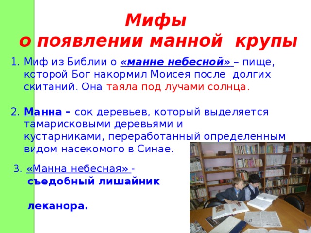 Мифы о появлении манной крупы 1. Миф из Библии о «манне небесной»  – пище,  которой Бог накормил Моисея после долгих  скитаний. Она таяла под лучами солнца. 2. Манна – сок деревьев, который выделяется  тамарисковыми деревьями и  кустарниками, переработанный определенным  видом насекомого в Синае. 3. «Манна небесная» -  съедобный лишайник  леканора.  