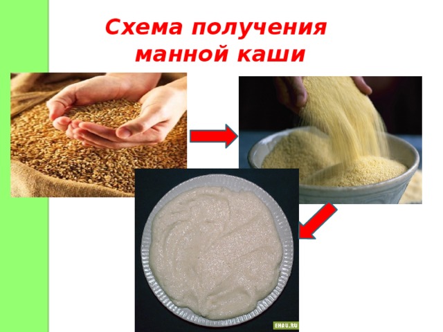 Схема получения манной каши 