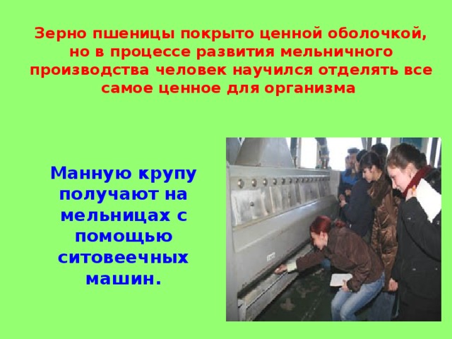 Зерно пшеницы покрыто ценной оболочкой, но в процессе развития мельничного производства человек научился отделять все самое ценное для организма Манную крупу получают на мельницах с помощью ситовеечных машин.  