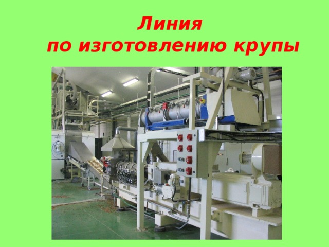Линия  по изготовлению крупы  