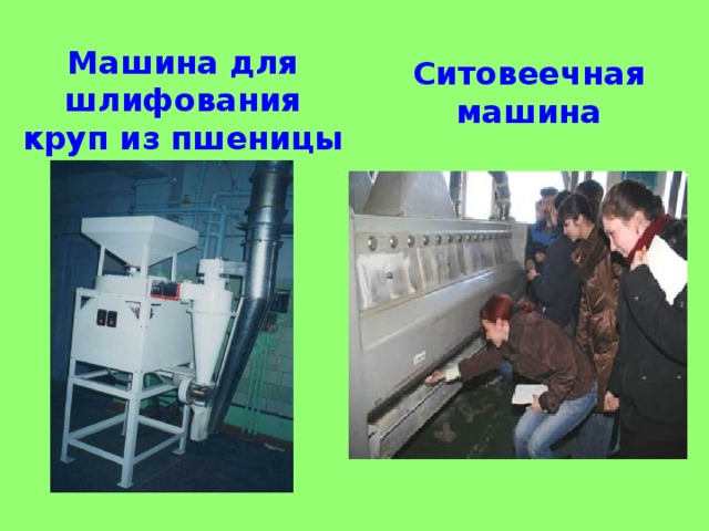 Машина для шлифования круп из пшеницы Ситовеечная машина  