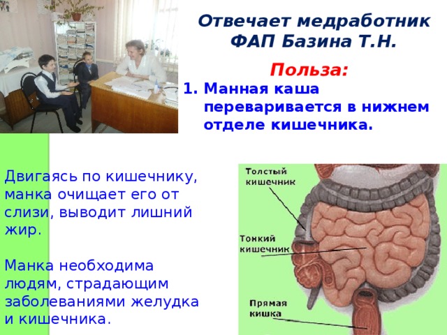 Отвечает медработник ФАП Базина Т.Н. Польза:  1. Манная каша  переваривается в нижнем  отделе кишечника. Двигаясь по кишечнику, манка очищает его от слизи, выводит лишний жир. Манка необходима людям, страдающим заболеваниями желудка и кишечника. 