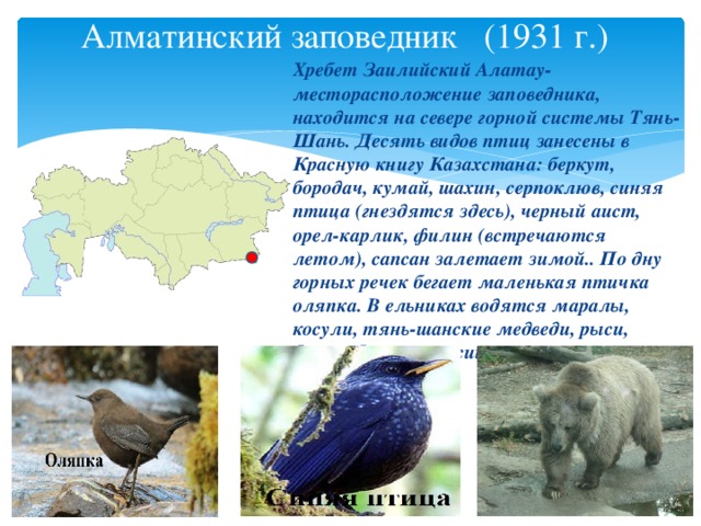 Птицы занесенные в красную книгу казахстана