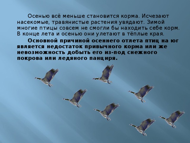 Осенью всё меньше становится корма. Исчезают насекомые, травянистые растения увядают. Зимой многие птицы совсем не смогли бы находить себе корм. В конце лета и осенью они улетают в тёплые края.   Основной причиной осеннего отлета птиц на юг является недостаток привычного корма или же невозможность добыть его из-под снежного покрова или ледяного панциря.  