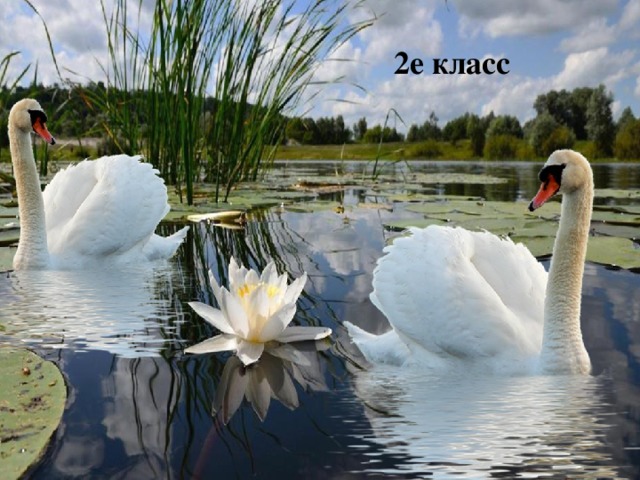 2е класс 