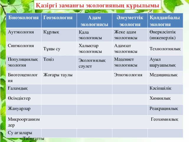Қазіргі заманғы экологияның құрылымы Биоэкология Геоэкология Аутэкология Адам экологиясы Құрлық Синэкология Тұщы су Әлеуметтік экология Қала экологиясы Популяциялық экология Теңіз Биогеоценология Халықтар экологиясы Жеке адам экологиясы Қолданбалы экология Адамзат экологиясы Жоғары таулы Экологиялық сәулет Ғаламдық Өнеркәсіптік (инженерлік) Өсімдіктер Мәдениет экологиясы Технологиялық Этноэкология Ауыл шаруашылық Жануарлар Медициналық Кәсіпшілік Химиялық Реакрациялық Микроорганизм Геохимиялық дер Су ағзалары  Табиғатты  пайдалану 