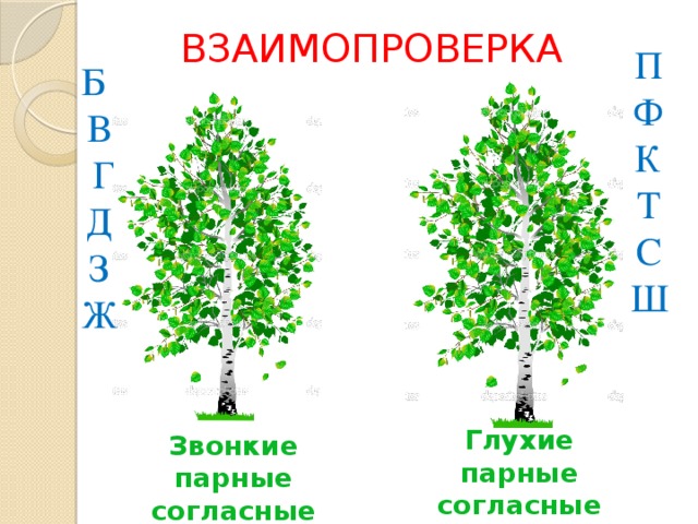 ВЗАИМОПРОВЕРКА П  Ф  К  Т  С  Ш Б В  Г Д З Ж Глухие парные согласные Звонкие парные согласные 