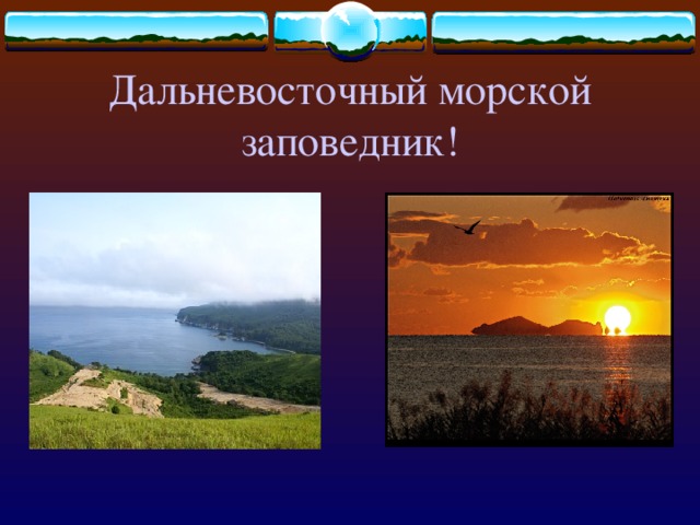 Презентация "Японское море"