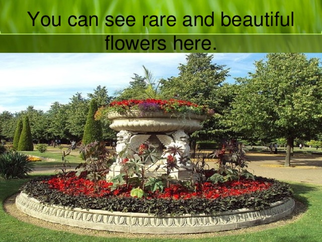 You can see rare and beautiful flowers here.