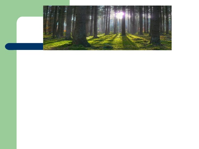  Die Waldfläche in Deutschland beträgt nach der zweiten Bundeswaldinventur 11.075.798 Hektar, entsprechend 31 % der Staatsfläche. Davon sind rund 44 % Privatwald, 32 % Staatswald (29 % Landeswald und 3 % Bundeswald), 19 % Körperschaftswald und 5 % Treuhandwald. Dieser vergleichsweise hohe Waldanteil ist den Aufforstungsbemühungen hauptsächlich des 19. Jahrhunderts zu verdanken. 