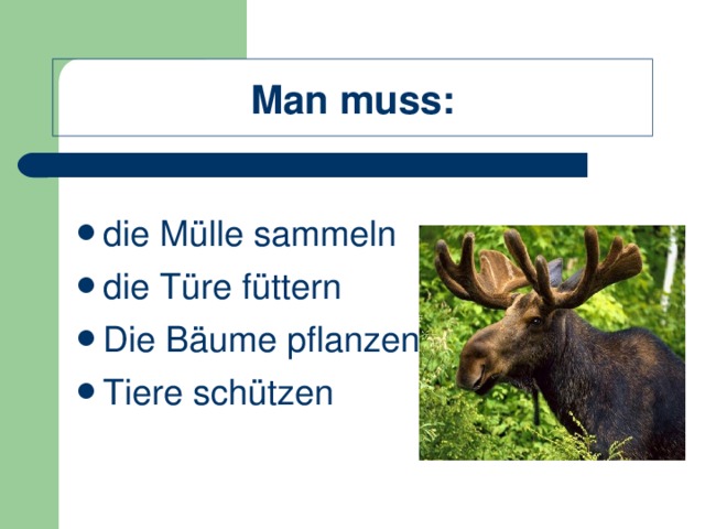 Man muss : die Mülle sammeln die Türe füttern Die Bäume pflanzen Tiere schützen 