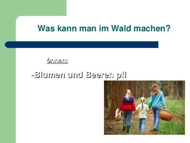 Was kann man im Wald machen? Wir k önnen: -Blumen und Beeren pfl ücken -Pilze sammeln -Sich gut erholen 