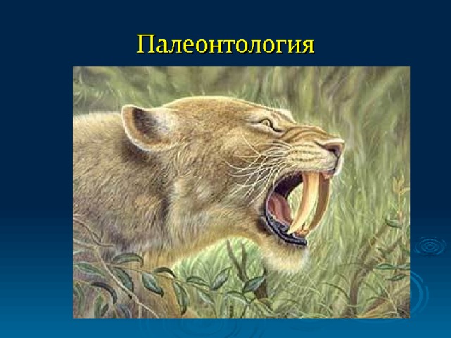 Саблезубая кошка