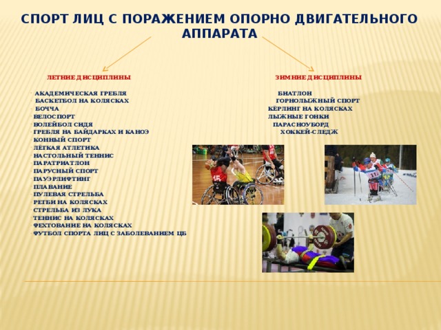 СПОРТ ЛИЦ С ПОРАЖЕНИЕМ ОПОРНО ДВИГАТЕЛЬНОГО АППАРАТА     ЛЕТНИЕ ДИСЦИПЛИНЫ зимние дисциплины   академическая гребля биатлон  баскетбол на колясках горнолыжный спорт  Бочча кёрлинг на колясках Велоспорт лыжные гонки Волейбол сидя парасноуборд Гребля на байдарках и каноэ хоккей-следж Конный спорт Лёгкая атлетика Настольный теннис Паратриатлон Парусный спорт Пауэрлифтинг Плавание Пулевая стрельба Регби на колясках Стрельба из лука Теннис на колясках Фехтование на колясках Футбол спорта лиц с заболеванием ЦБ     