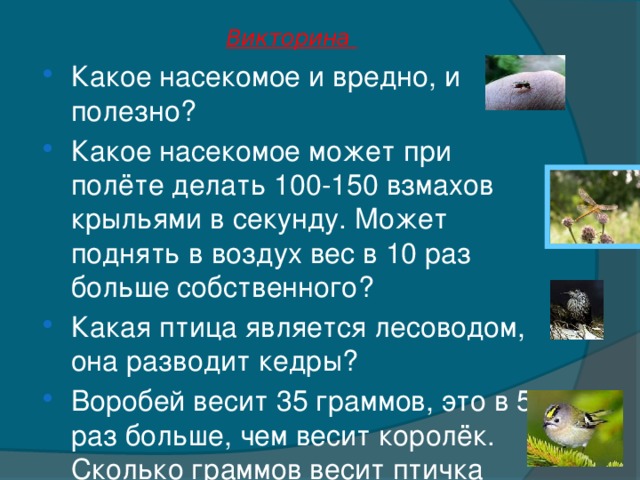 Викторина