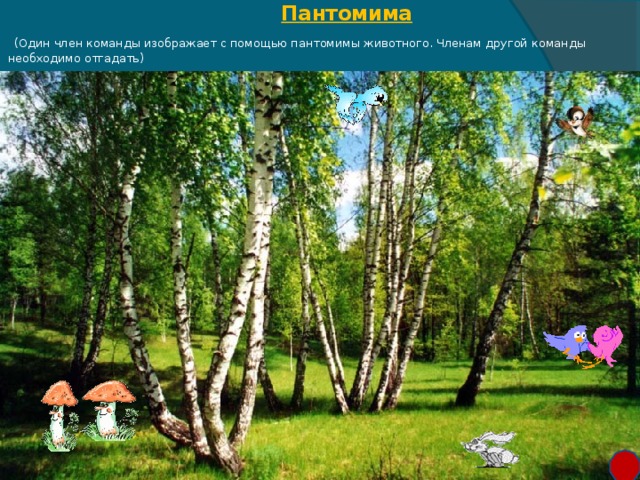 Пантомима   (Один член команды изображает с помощью пантомимы животного. Членам другой команды необходимо отгадать)