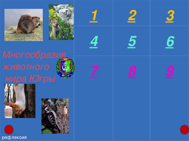 1  2  4 7  5 3 Многообразие животного  мира Югры 8  6 9 рефлексия