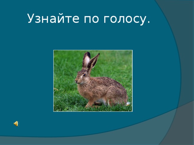 Узнайте по голосу.
