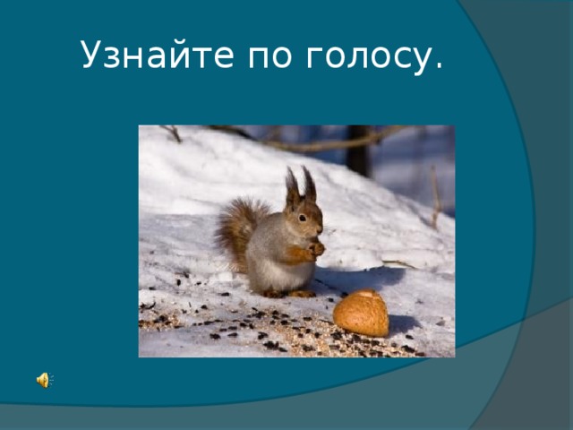 Узнайте по голосу.