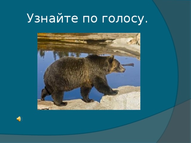 Узнайте по голосу.