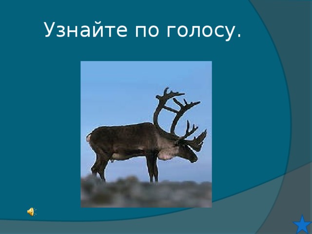 Узнайте по голосу.