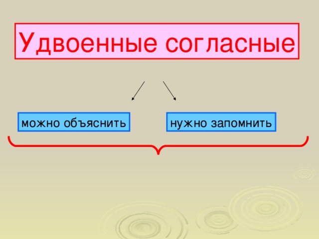 Удвоенные согласные можно объяснить нужно запомнить 