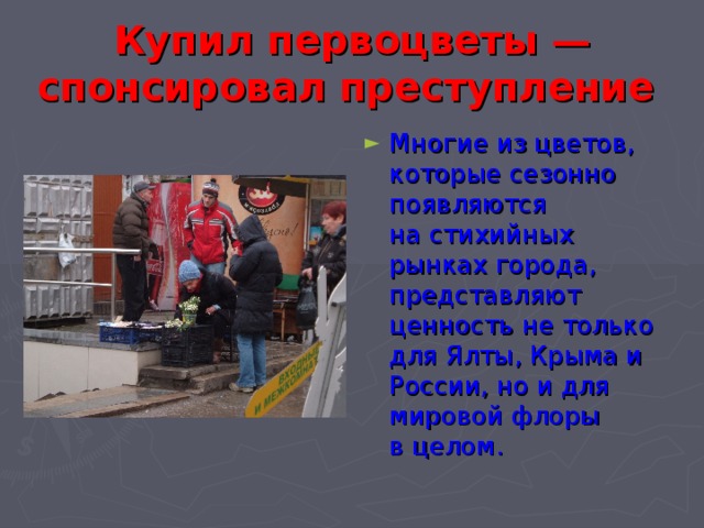 Купил первоцветы — спонсировал преступление