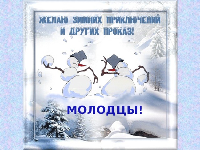 МОЛОДЦЫ! Масько Л.Г.