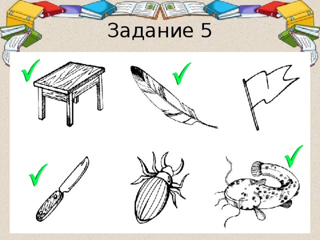 Задание 5 