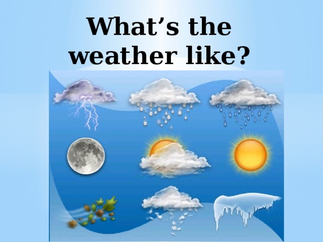What’s the weather like? 