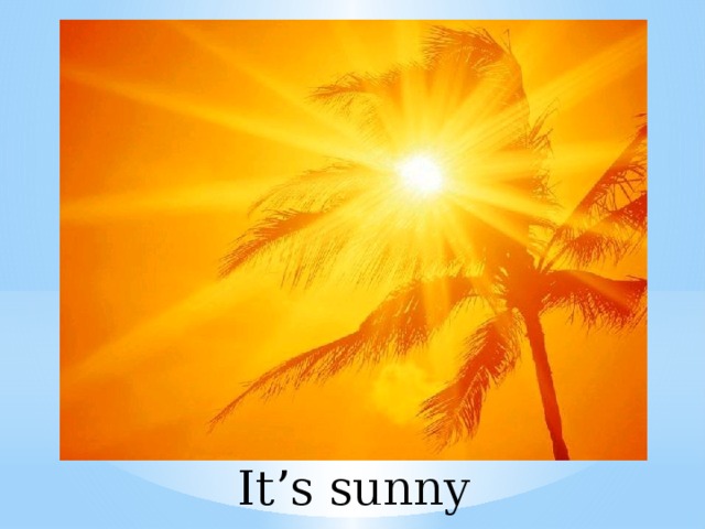 It’s sunny 