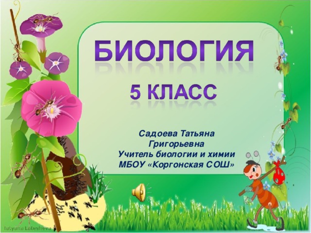 Садоева Татьяна Григорьевна Учитель биологии и химии МБОУ «Коргонская СОШ» 