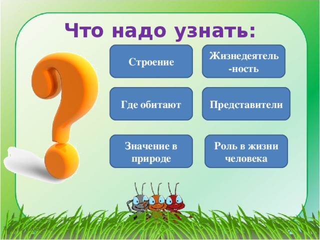 Что надо узнать: Строение Жизнедеятель-ность Где обитают Представители Значение в природе Роль в жизни человека 