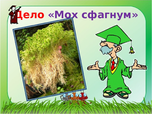 Дело «Мох сфагнум» 
