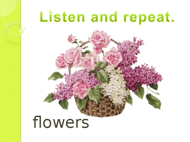 flowers 