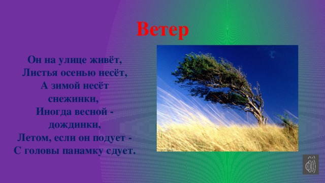 Ветер Он на улице живёт,  Листья осенью несёт,  А зимой несёт снежинки,   Иногда весной - дождинки,  Летом, если он подует -  С головы панамку сдует. 